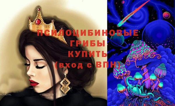 твердый Володарск