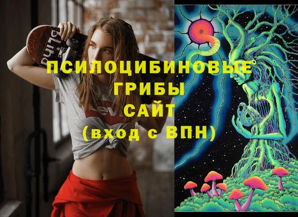 твердый Володарск