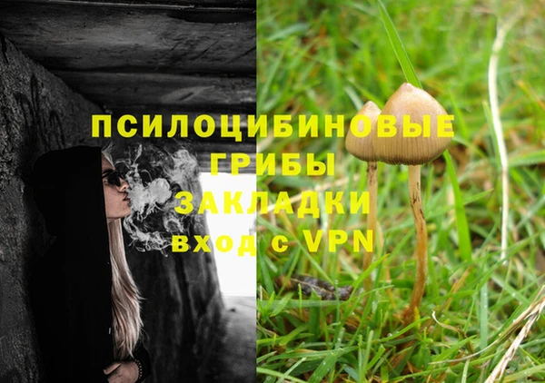твердый Володарск